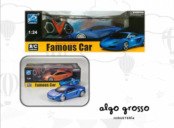 AUTO RADIO CONTROL FAMOUS CAR 1:24 art.53845