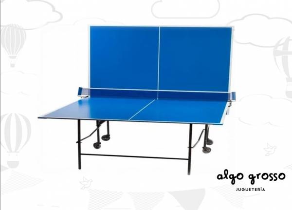 MESA DE PING PONG NDF art.TB1000