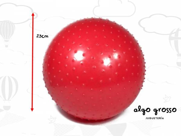 PELOTA PINCHES GRANDE 23CM art.150167