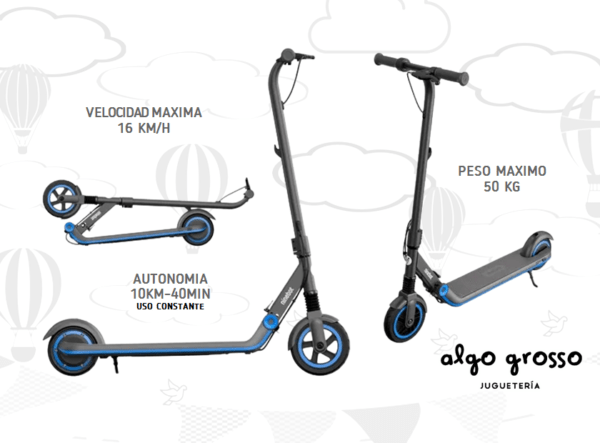 MONOPATIN ELECTRICO SEGWAY NINEBOT art.E10