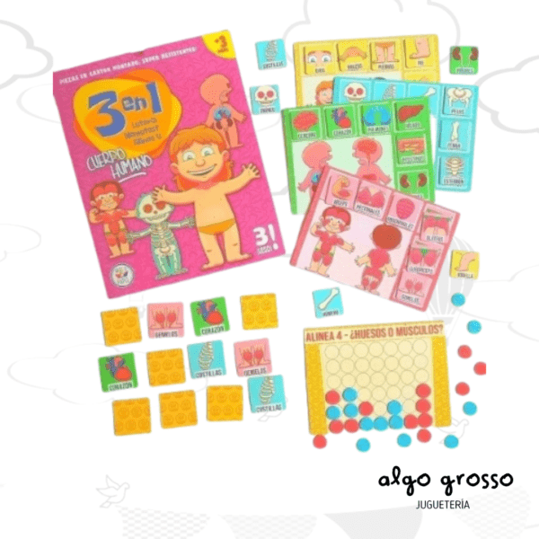 CUERPO HUMANO  3EN1 LOTERIA - MEMO - 4 LINEA art.556