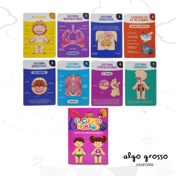 EL CUERPO HUMANO CARTAS CON LIBRO DE ACTIVIDADES art.239