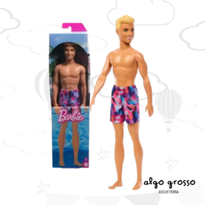 MUÑECO KEN PLAYA BARBIE BASICO art.HXX52