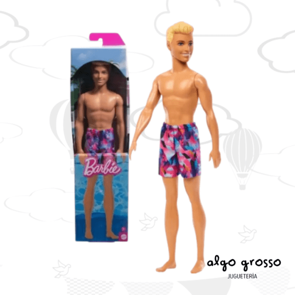 MUÑECO KEN PLAYA BARBIE BASICO art.HXX52